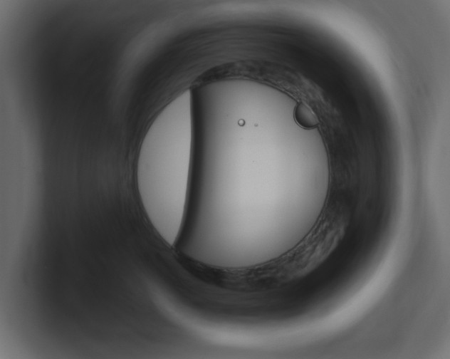 X0000101190766200806270847
