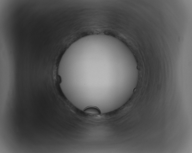 X0000101190768200806270847