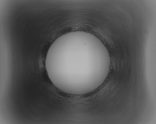 X0000101190770200806270846