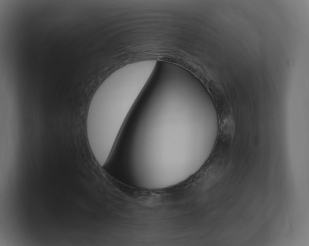 X0000101190772200806270846