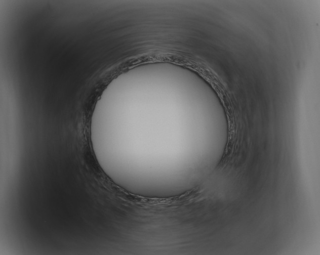 X0000101190773200806270846