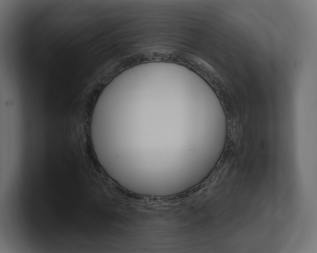 X0000101190774200806270846