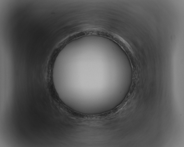 X0000101190775200806270846