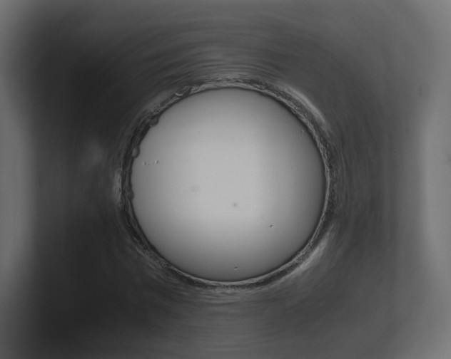 X0000101190777200806270846