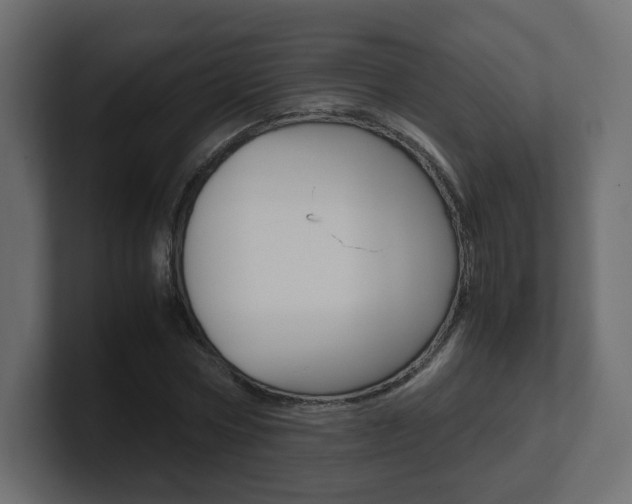 X0000101190778200806270846
