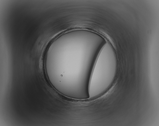 X0000101190779200806270846