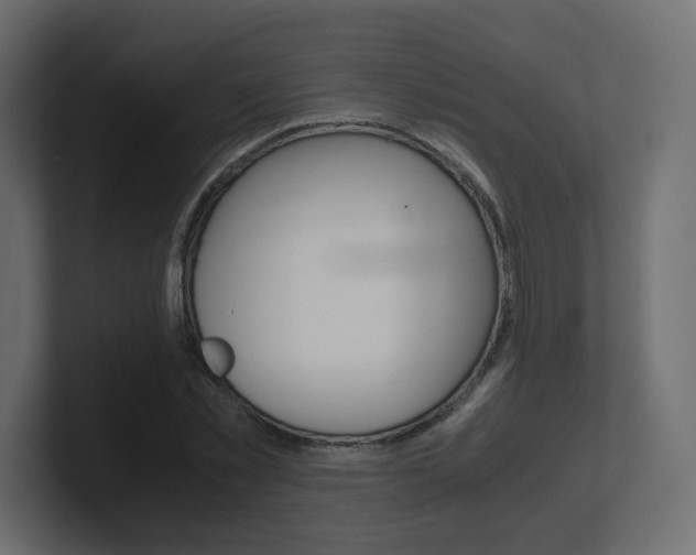 X0000101190781200806270846
