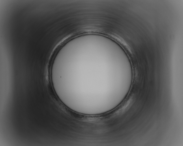 X0000101190782200806270846