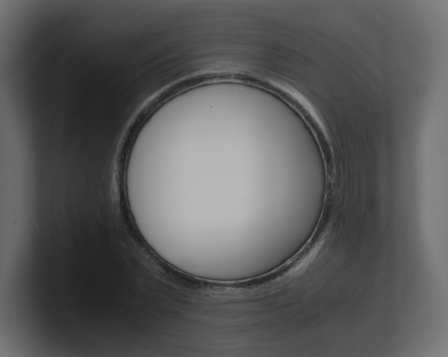 X0000101190783200806270846