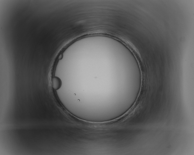 X0000101190789200806270846