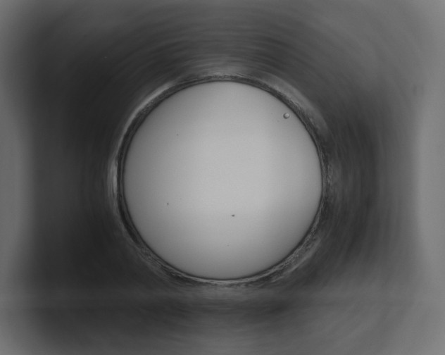 X0000101190790200806270846