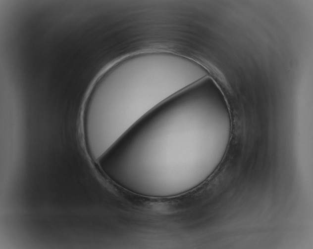 X0000101190792200806270846
