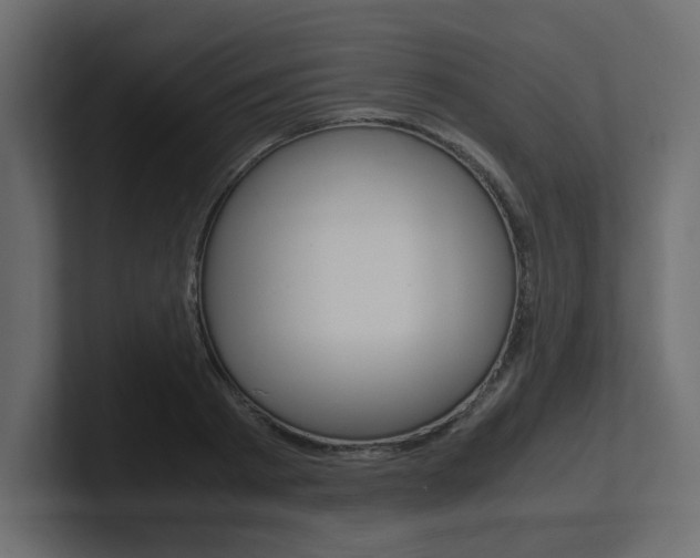 X0000101190793200806270846