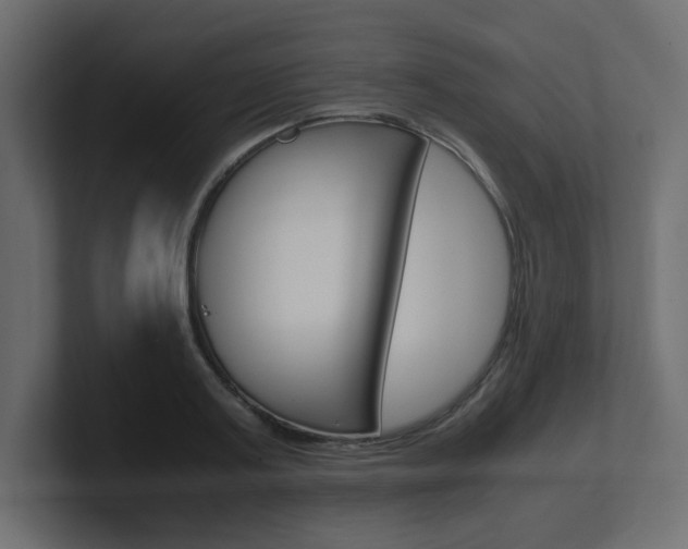 X0000101190795200806270846