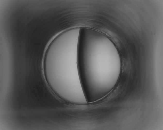 X0000101190796200806270846