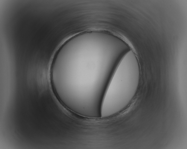 X0000101190803200806270846
