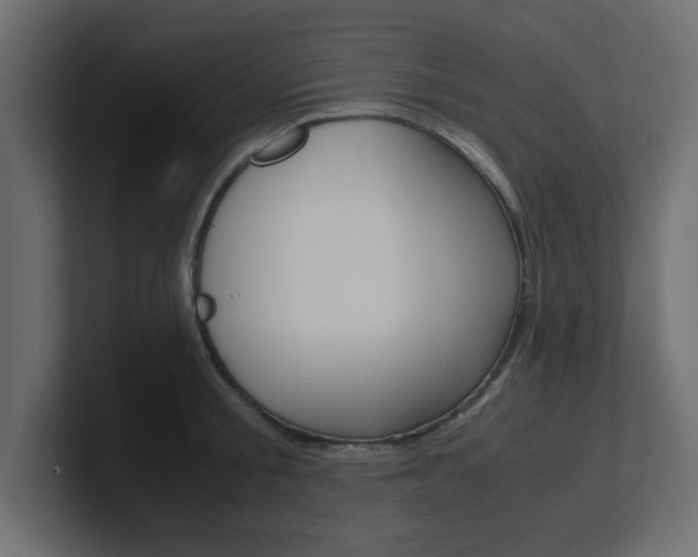 X0000101190805200806270846