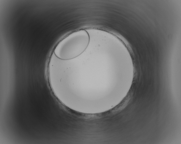 X0000101190807200806270846