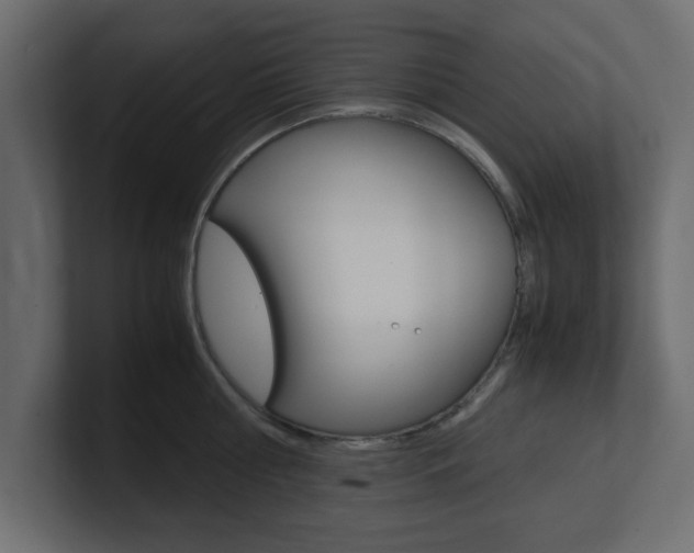 X0000101190810200806270846
