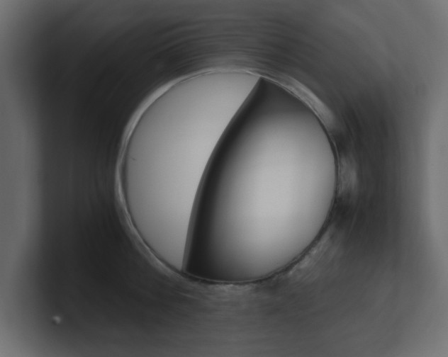 X0000101190812200806270846