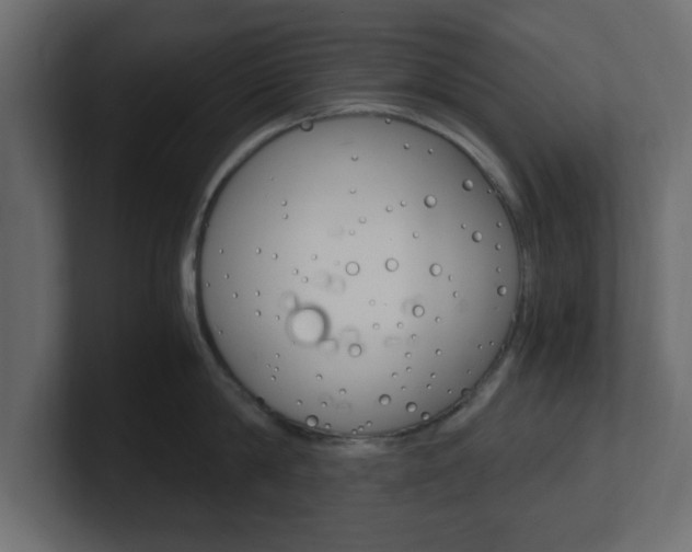 X0000101190814200806270846