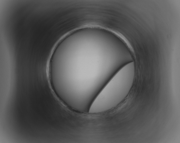 X0000101190815200806270846