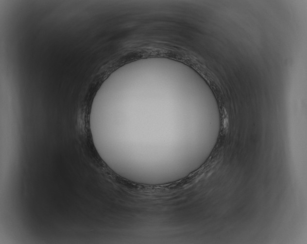 X0000101190819200806270845
