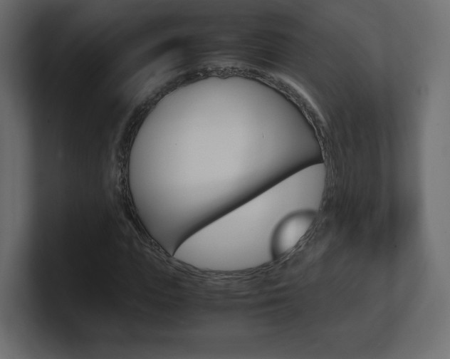 X0000101190823200806270845