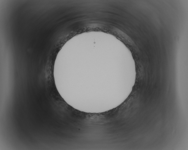 X0000101190824200806270845