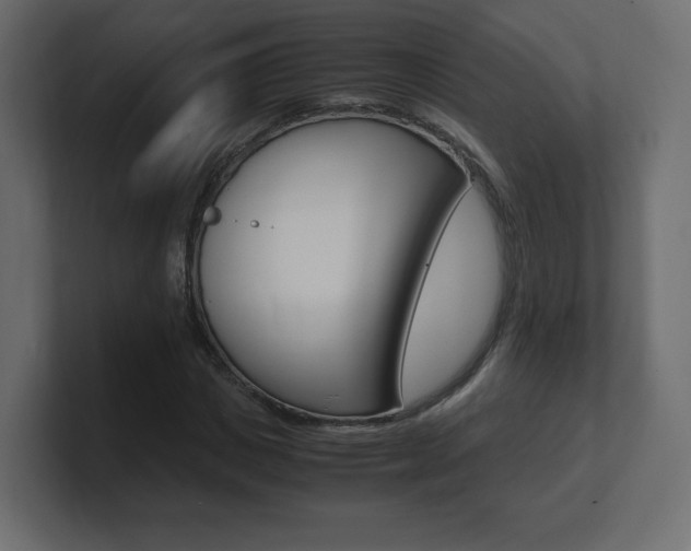X0000101190825200806270845