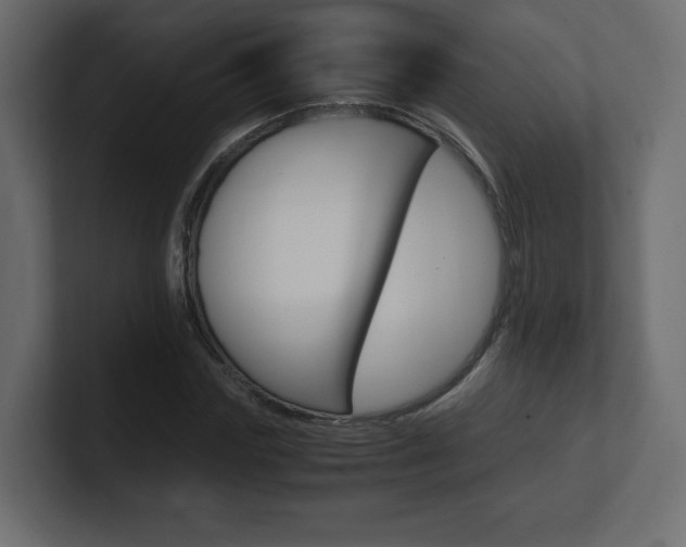 X0000101190827200806270845