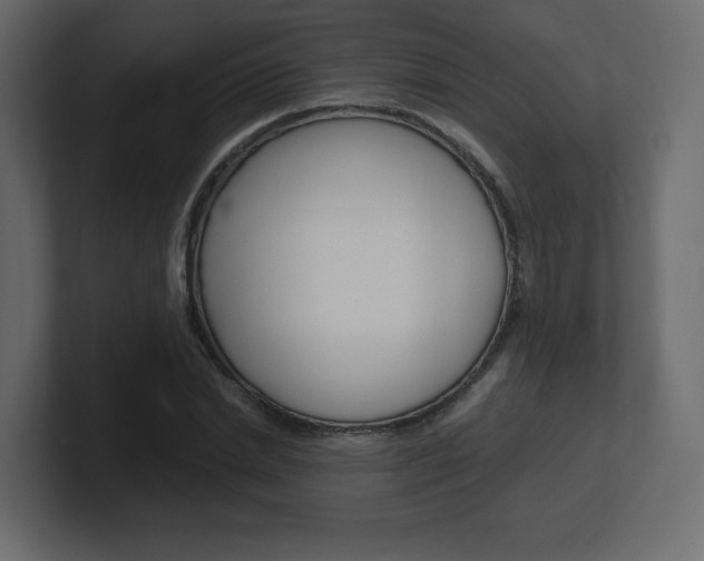 X0000101190830200806270845
