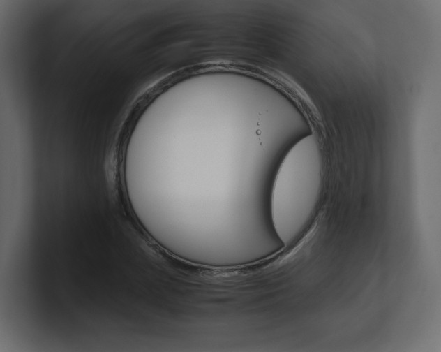 X0000101190831200806270845