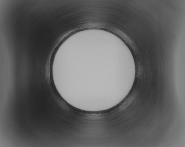 X0000101190836200806270845