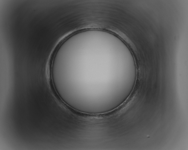 X0000101190838200806270845