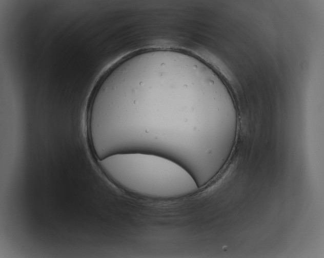 X0000101190839200806270845