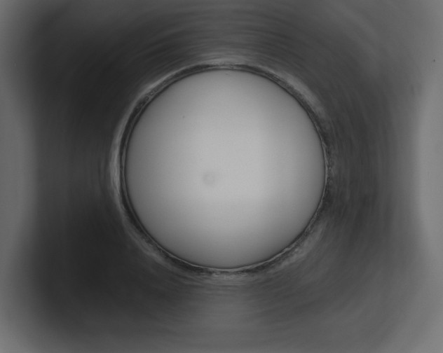 X0000101190840200806270845