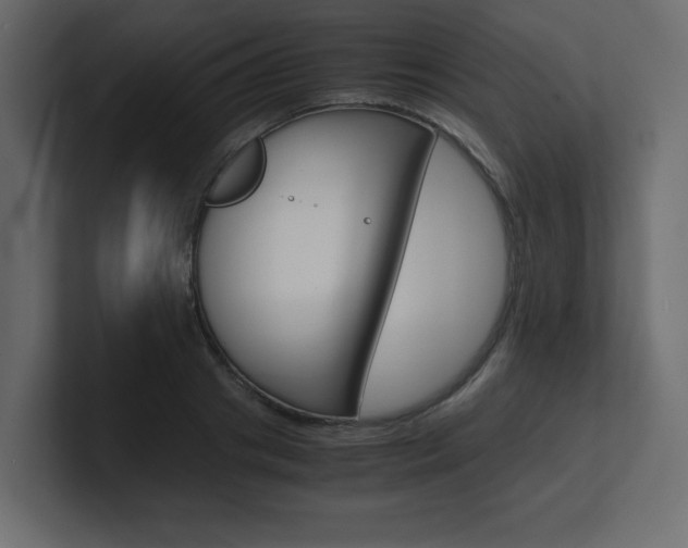 X0000101190841200806270845