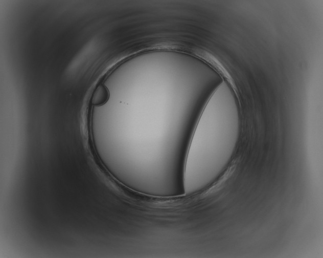 X0000101190843200806270845