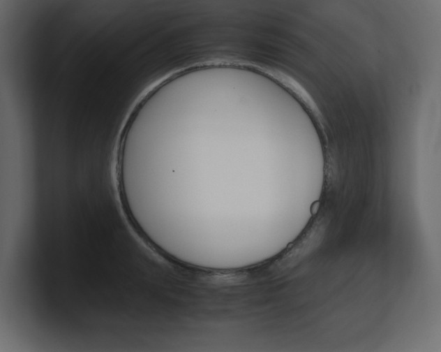 X0000101190847200806270845
