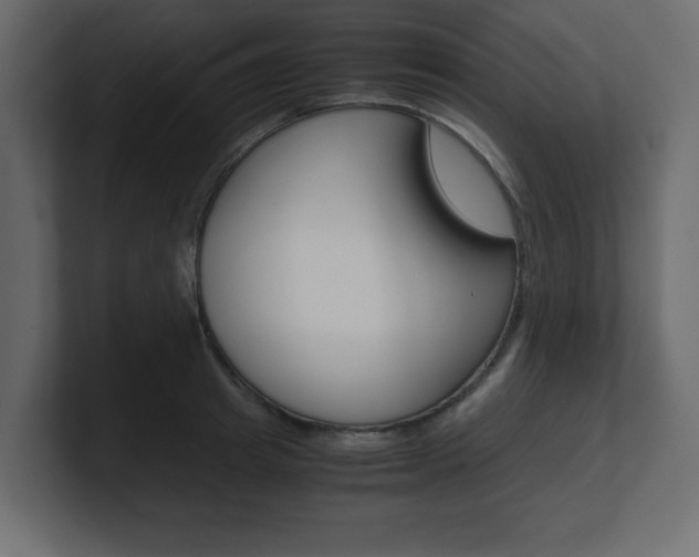 X0000101190849200806270845