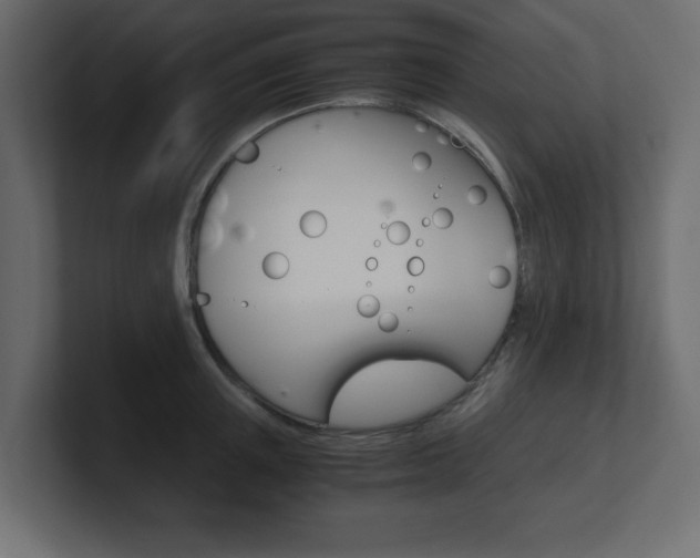 X0000101190851200806270846