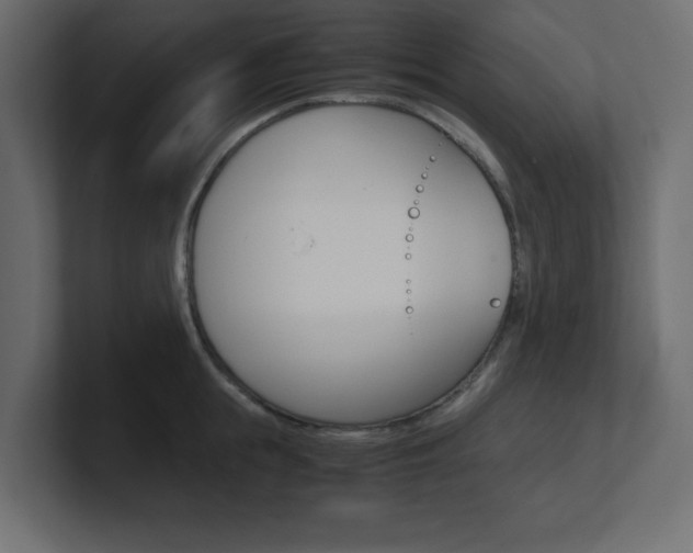 X0000101190855200806270846