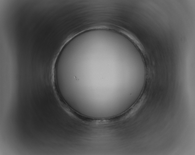 X0000101190858200806270846