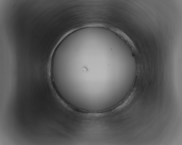 X0000101190860200806270846