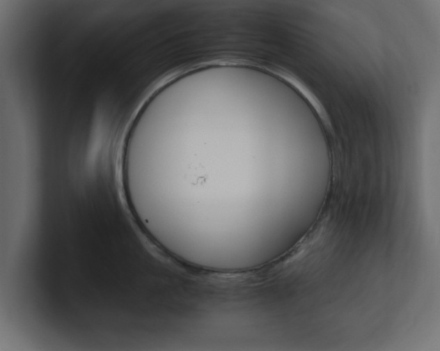 X0000101190861200806270846