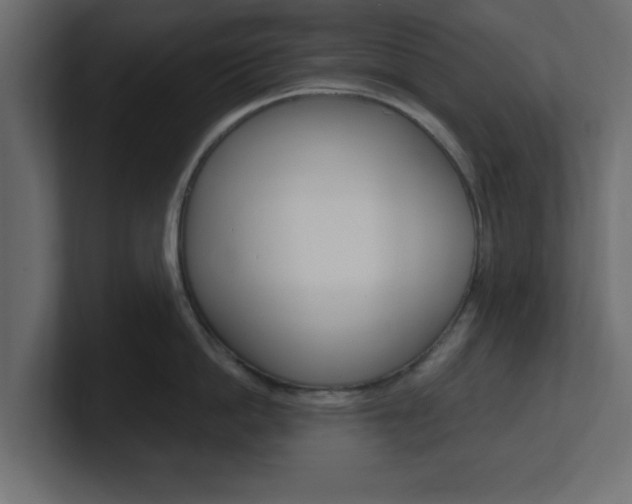 X0000101190862200806270846