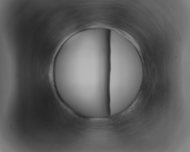 X0000101190863200806270846