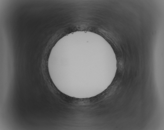 X0000101190865200806270845