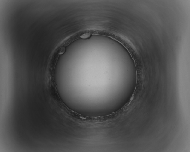 X0000101190872200806270845